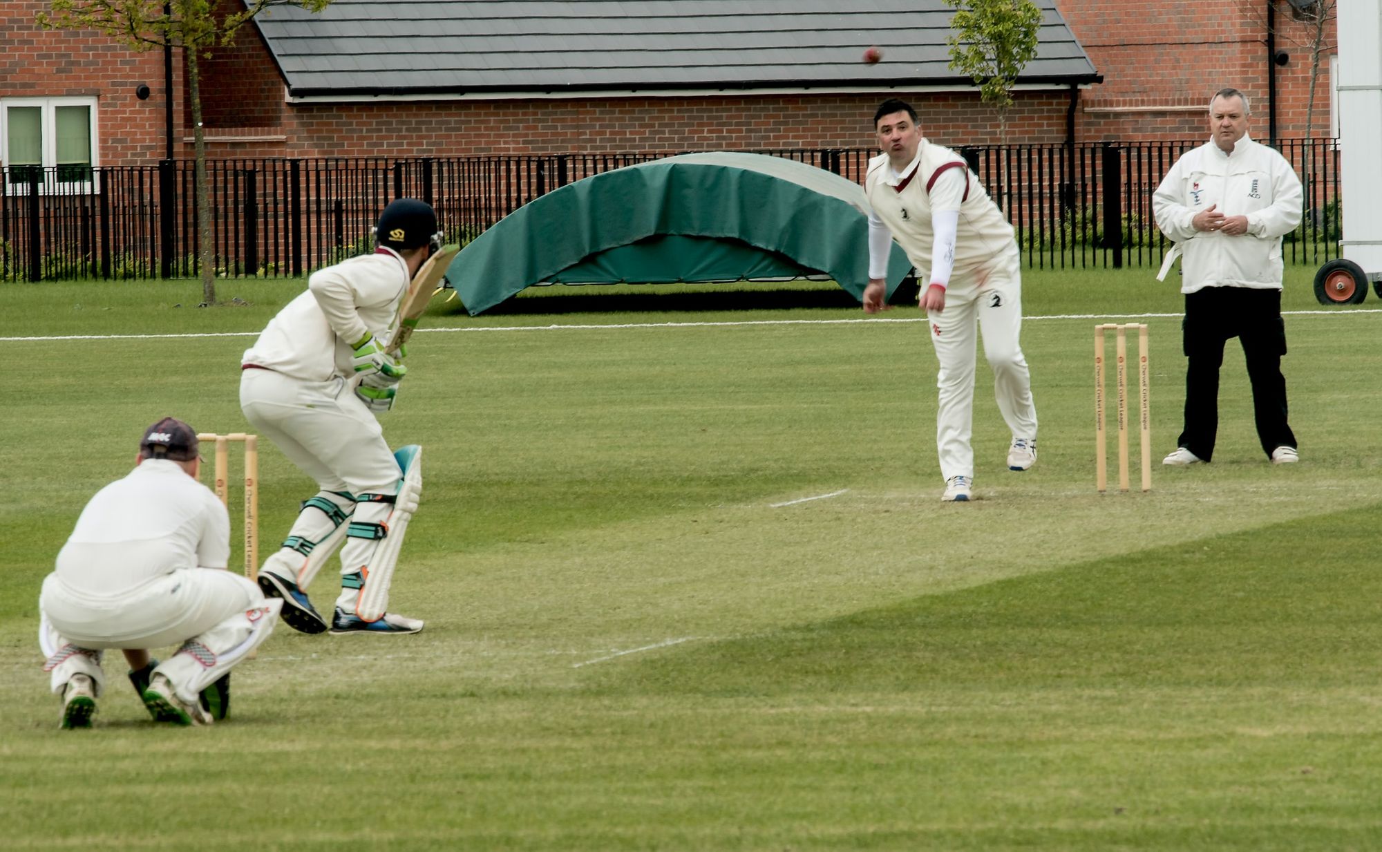 machine learning cricket