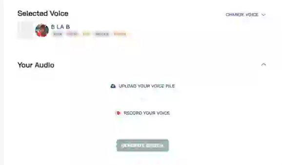 Voice-to-voice conversion feature