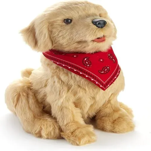 Golden Pup