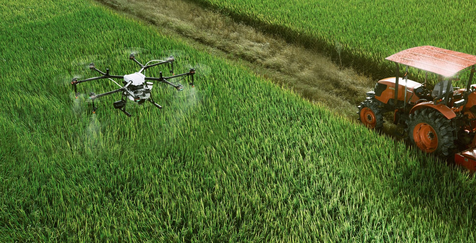 Artificial Intelligence (AI) can help building a strong Agriculture economy