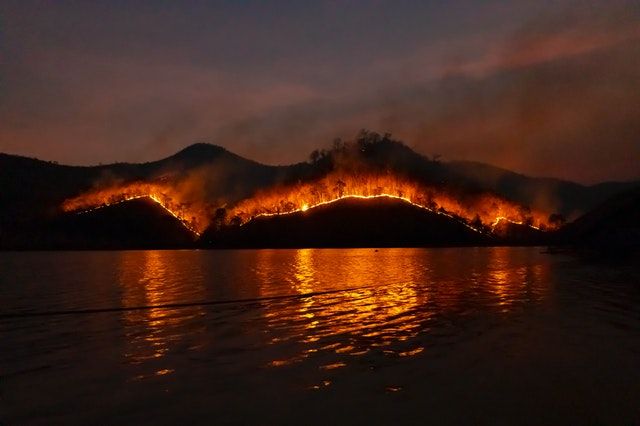 AI to Predict Wildfire And Reduce Damage