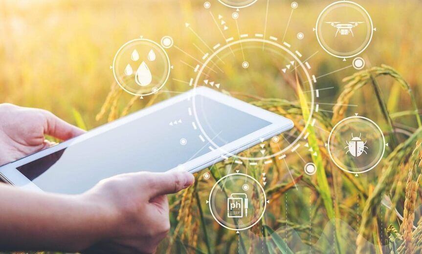 Use of AI and Deep Learning in Agriculture