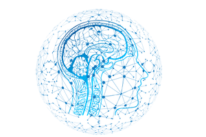 AI vs. Human: A Comparison of Human Perception with Artificial Intelligence (AI)