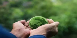 Impact of AI on Environment