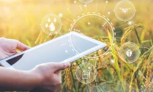 AI and Deep Learning in Agriculture