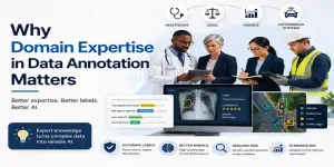 Domain Expertise in Data Annotation 