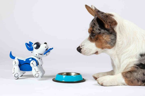 Robot Dog Toys are Getting Famous - But Are They Worth It?