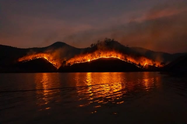 AI to Predict Wildfire And Reduce Damage