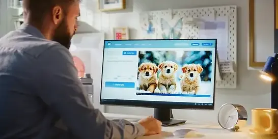 AI Video-to-Video Art Generators